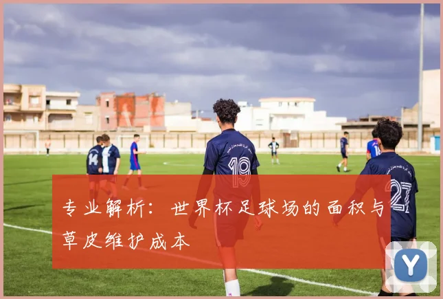 专业解析：世界杯足球场的面积与草皮维护成本