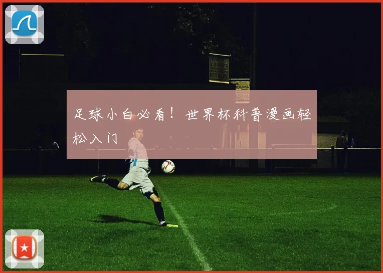 足球小白必看！世界杯科普漫画轻松入门