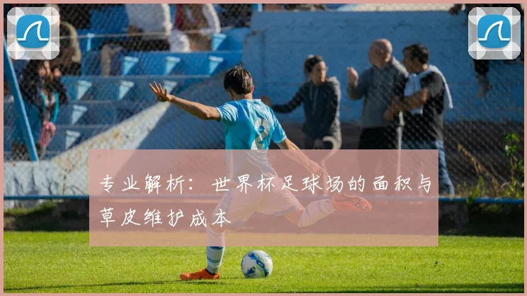 专业解析：世界杯足球场的面积与草皮维护成本