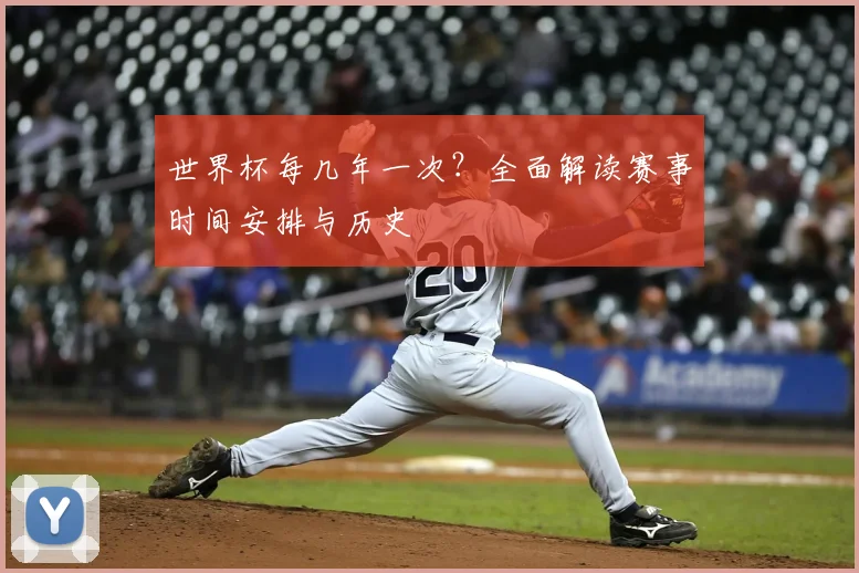 世界杯每几年一次?全面解读赛事时间安排与历史